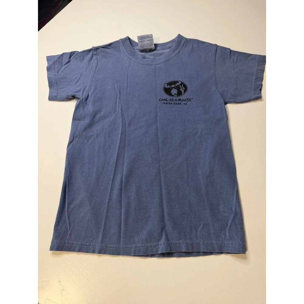 Comfort Colors Cool As A Moose Indian Head NH Blue Graphic T-Shirt Youth Small
